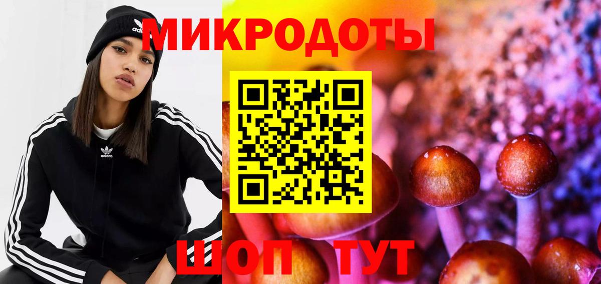 Кушва  Псилоцибиновые грибы прущие грибы  Вход с VPN 