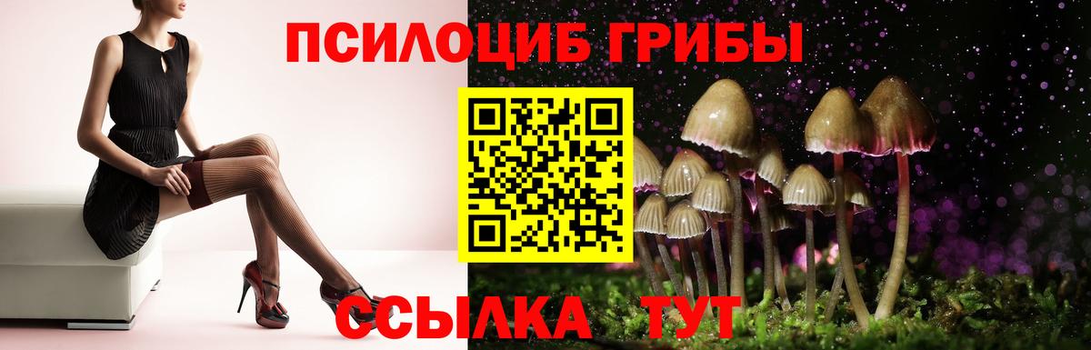 Галлюциногенные грибы GOLDEN TEACHER Кушва